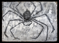 Francisco-Toledo-Spider